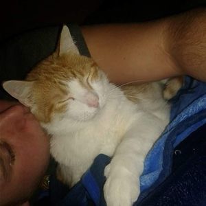 Meet your Posher, Jake